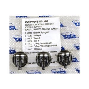 Picture of CAT Valve Kit 66DX SERIES (2 Kits Needed)