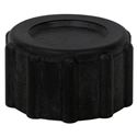 Picture of Poly Knurled Threaded Cap, (3/4" FGHT)