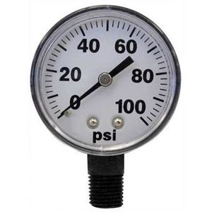 Picture of Gauge Dry 0 - 100 PSI, 1/4" BM, 2", Plastic Case