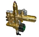 Picture of 3000PSI, 2.3GPM (3/8 QC Outlet) Annovi Reverberi Direct Drive Pump