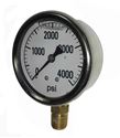 Picture of 4,000 PSI Bottom Mount 2-1/2" SS Pressure Gauge