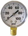 Picture of Gauge Liquid Filled 0 - 100 PSI, 1/4" BM, 2-1/2", SS Case