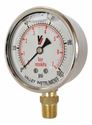 Picture of 100 PSI Bottom Mount 2-1/2" SS Pressure Gauge