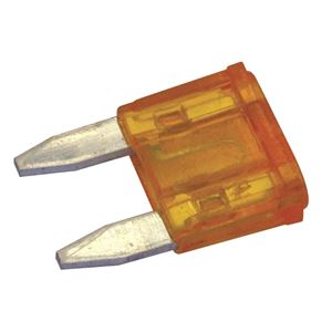 Picture of Fimco High Flo 12V 1.0 GPM Pump 5 AMP Mini Blade Fuse