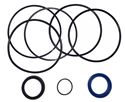 Picture of Delavan PML Cylinder Repair Kit, 4" Bore, 1-1/4" Rod