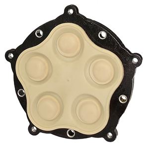 Picture of Everflo Diaphragm Assembly 5.5 - 7 GPM