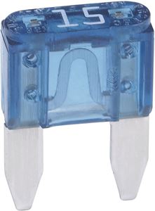 Picture of Everflo EF Mini Blade Replacement Fuse 15A 2.2 GPM