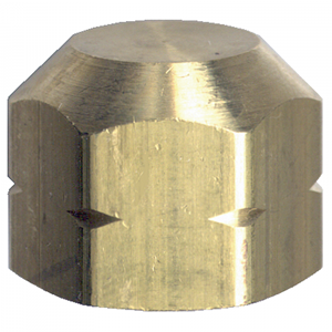 Picture of 1/4 FPT Brass Cap