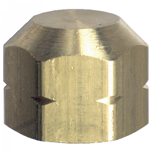 Picture of 3/8 FPT Brass Cap