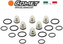 Picture of Comet Check Valve Kit AWD, BWD & ZWD-K MODELS 3538G, 4042G, 4042S