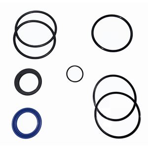 Picture of Delavan PML Cylinder Repair Kit, 2.5" Bore, 1-1/8" Rod