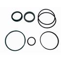 Picture of Delavan PML Cylinder Repair Kit, 3" Bore, 1-1/2" Rod