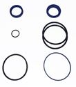 Picture of Delavan PML Cylinder Repair Kit, 2.5" Bore, 1-1/8" Rod