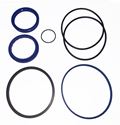 Picture of Delavan PML Cylinder Repair Kit, 4" Bore, 2" Rod