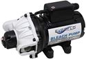 Picture of Everflo Soft Wash (Bleach) Pump 12 V, 60 PSI, 5.5 GPM, QA Ports