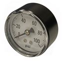 Picture of 100 PSI Back Mount 2" ABS Pressure Gauge