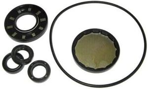 Picture of AR 2786 Oil Seal Kit XMA
