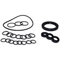 Picture of Comet Oil Seal Kit AXD